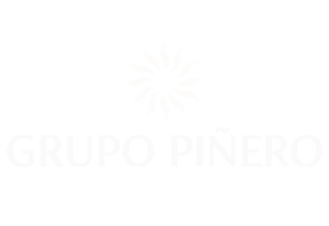 Grupo Piñero Chromecast